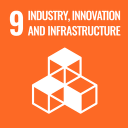 SDG 9 icon
